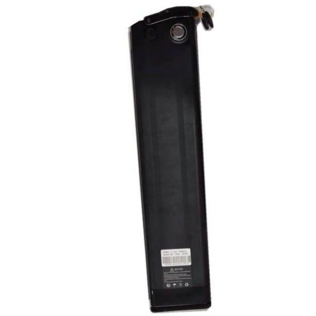 Batería de litio de pescado de plata 48V 25Ah longitud 630mm con cargador para bicicleta eléctrica